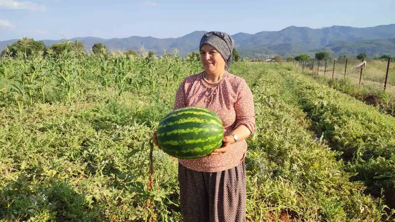 Beyağaç’ta toprakla gelen miras: 10 tonluk bereket