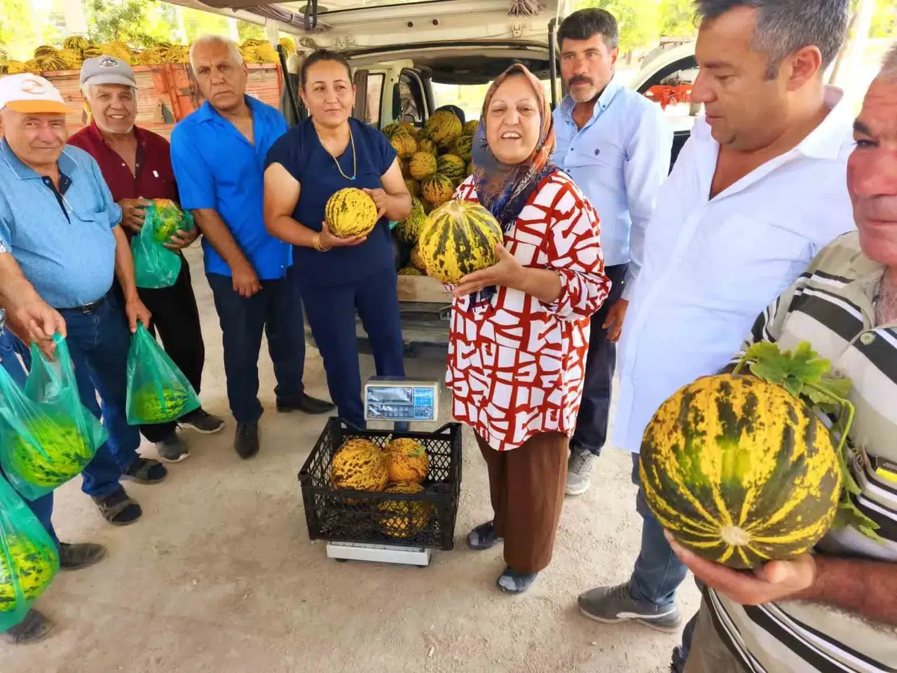 Susuz Tarlanın Bal Tadındaki Sırrı: Altınova’da Kavun Hasadında Kuyruk Yarışı