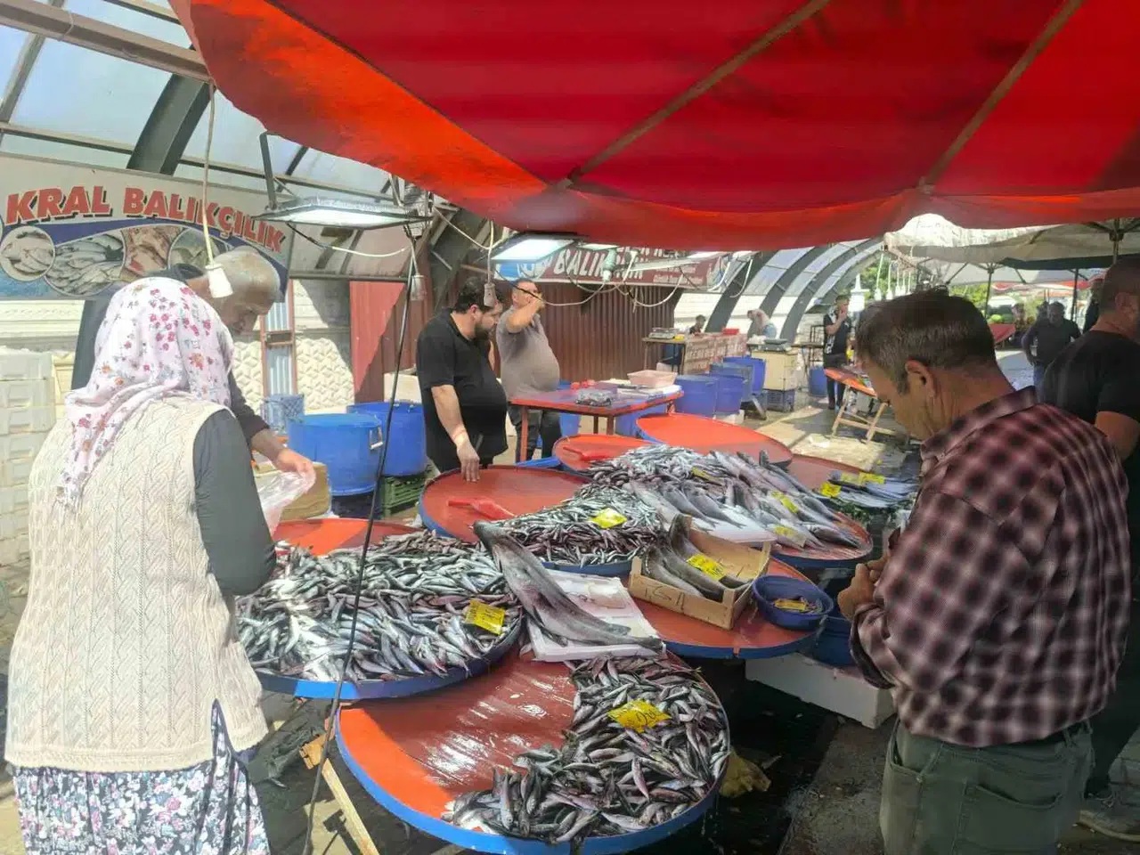 Şuhut’ta balık bereketi: Tezgahlarda fiyatlar ve çeşitlilik yüzleri güldürdü