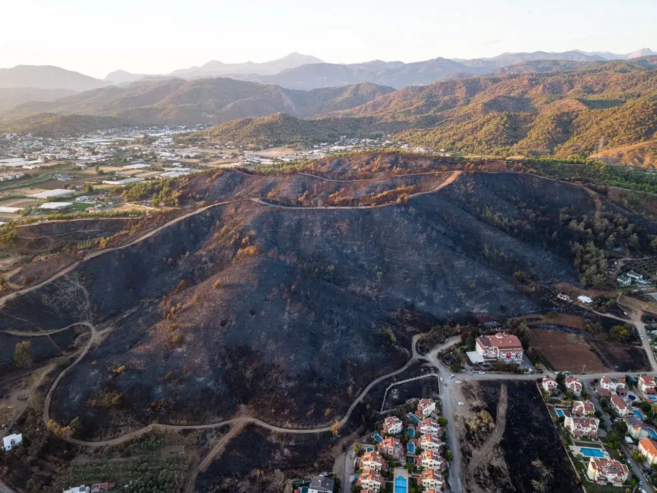 Fethiye’de alevlerin bıraktığı kara tablo: Doğanın kalbi küle döndü