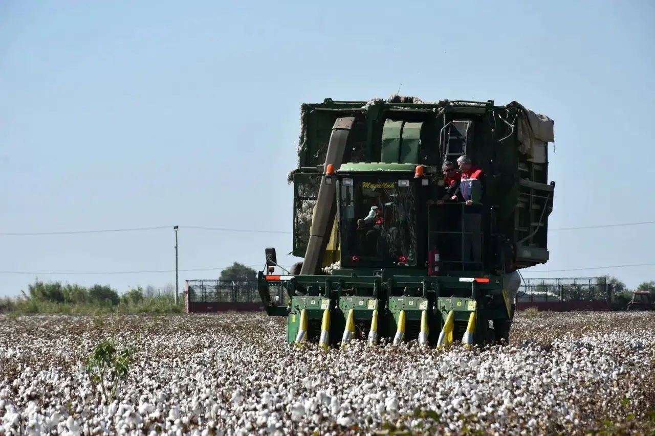 Efeler'de hasat mesaisi başlıyor: 2026 sezonu için fiyatlar netleşti