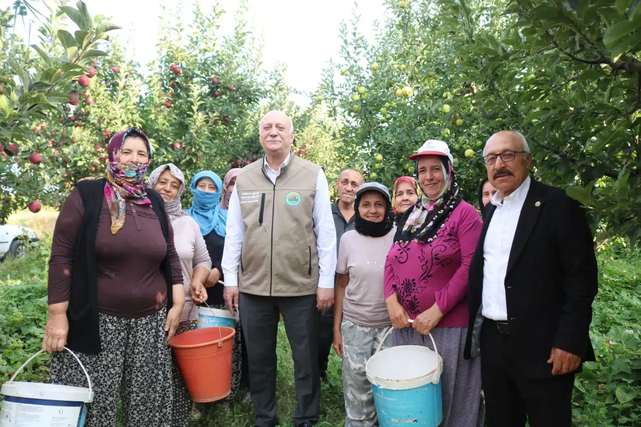 Çivril elma bahçelerinde bereketli hasat: Rekolte beklentisi ikiye katlandı