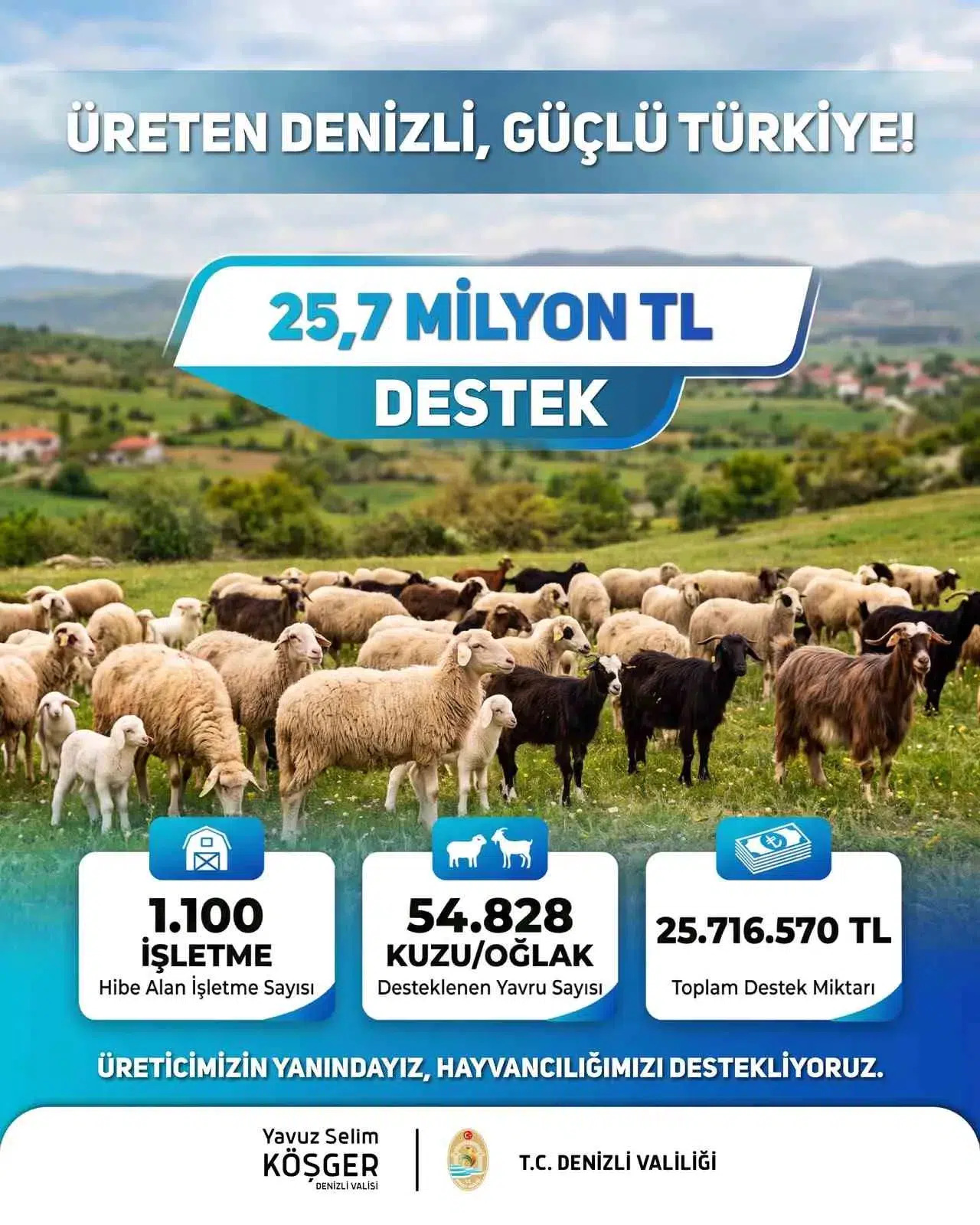 Denizli'de küçükbaş üreticisine milyonluk destek: Hesaplara yattı