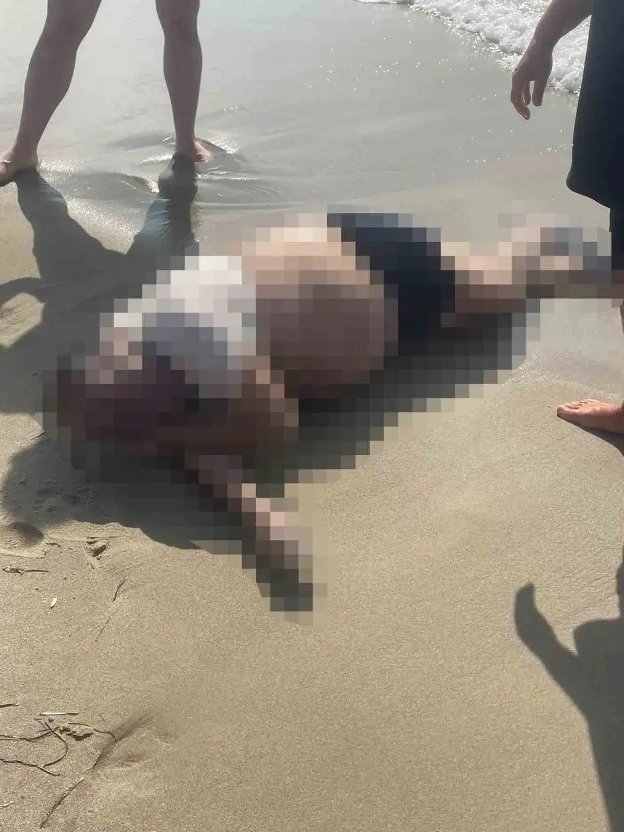 Kuşadası'nda acı son: Ege'nin sularında kaybolan iş insanından kahreden haber
