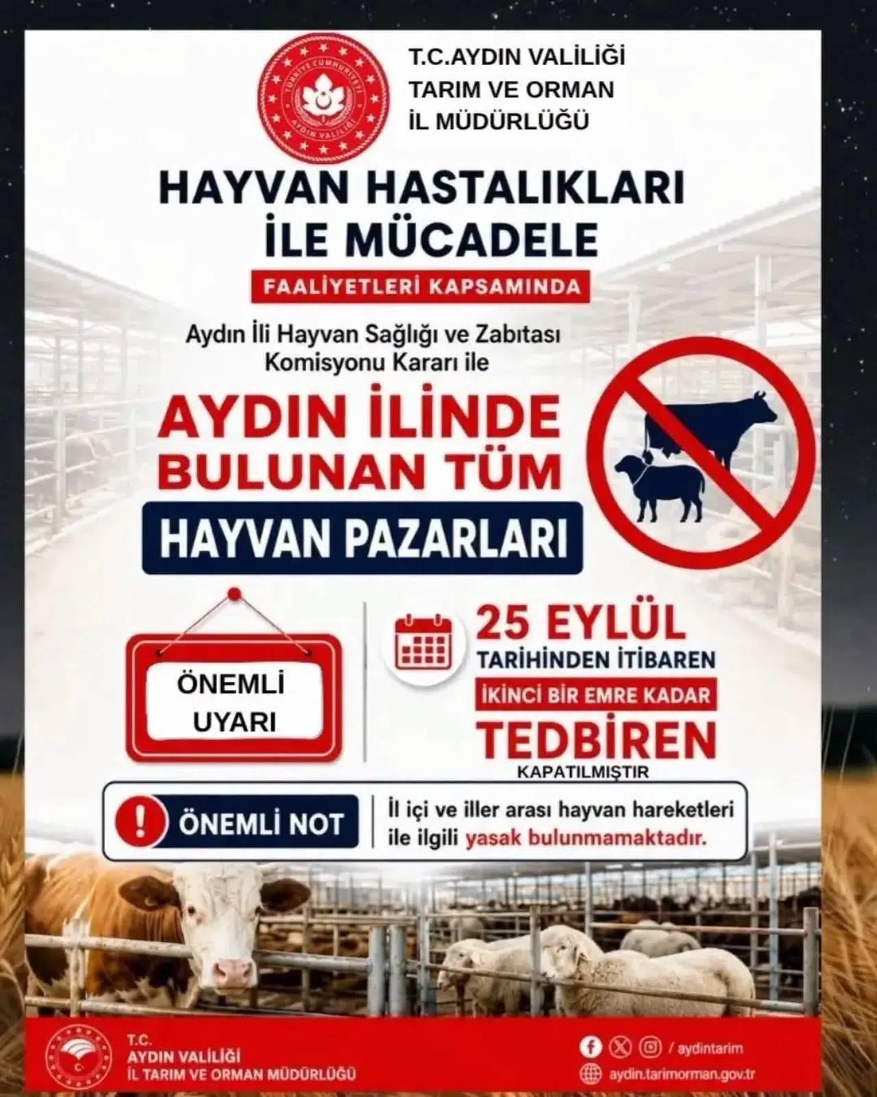 Aydın'da kritik karar: Hayvan pazarlarına süresiz kilit vuruldu