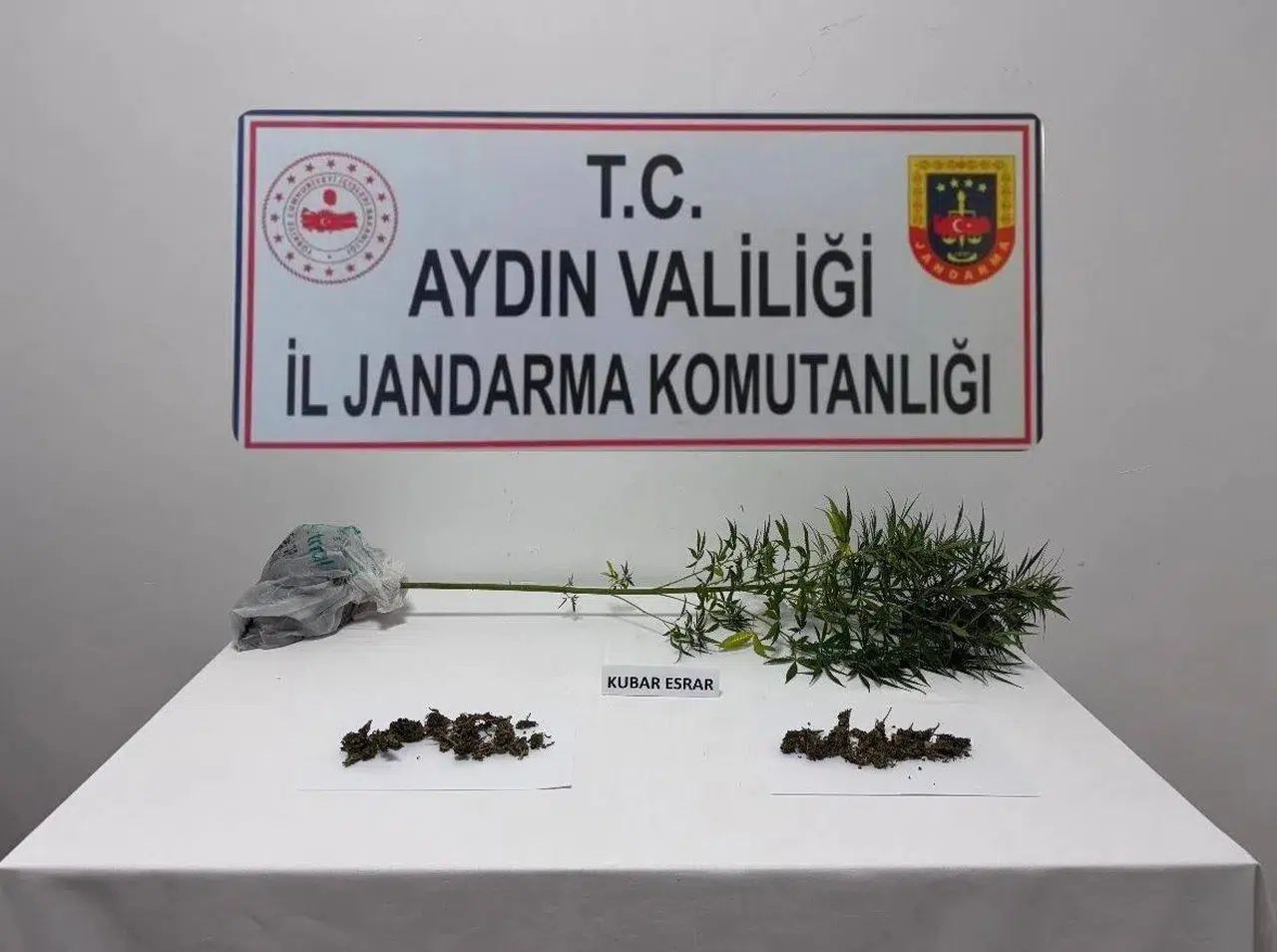 Söke'de jandarma baskını: 78 yaşındaki şüphelinin evinden uyuşturucu çıktı