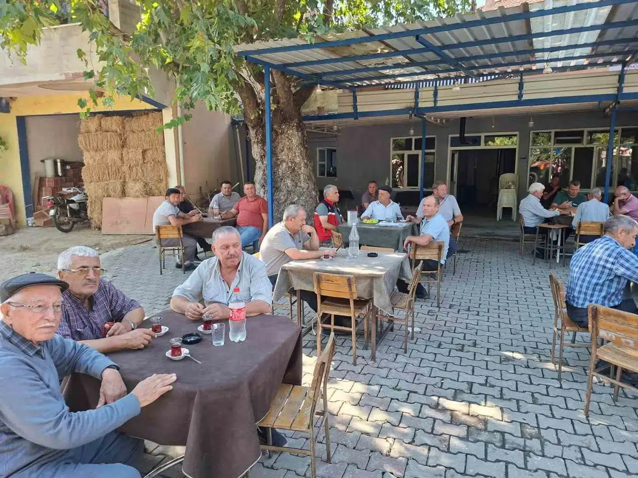 Nazilli çiftçisine verim artışı için kritik uyarılar: Hasattan depolamaya uzman desteği