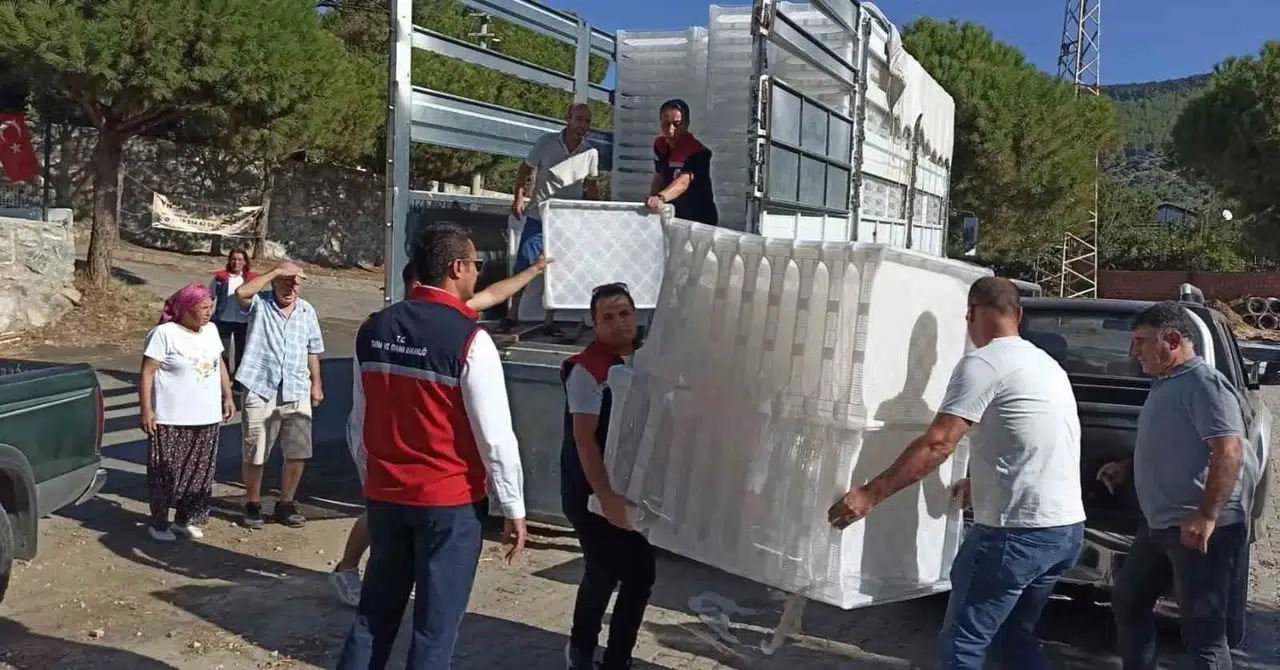 Söke'de incir üretiminde hijyen devrimi: Yüzde 50 destekle üreticiye can suyu