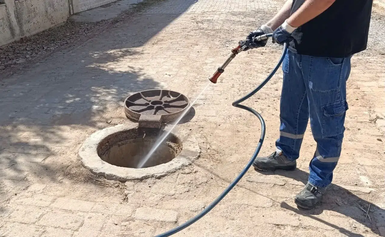 Didim'de haşereye karşı kesintisiz mesai: Yaz kış demeden önlem alınıyor