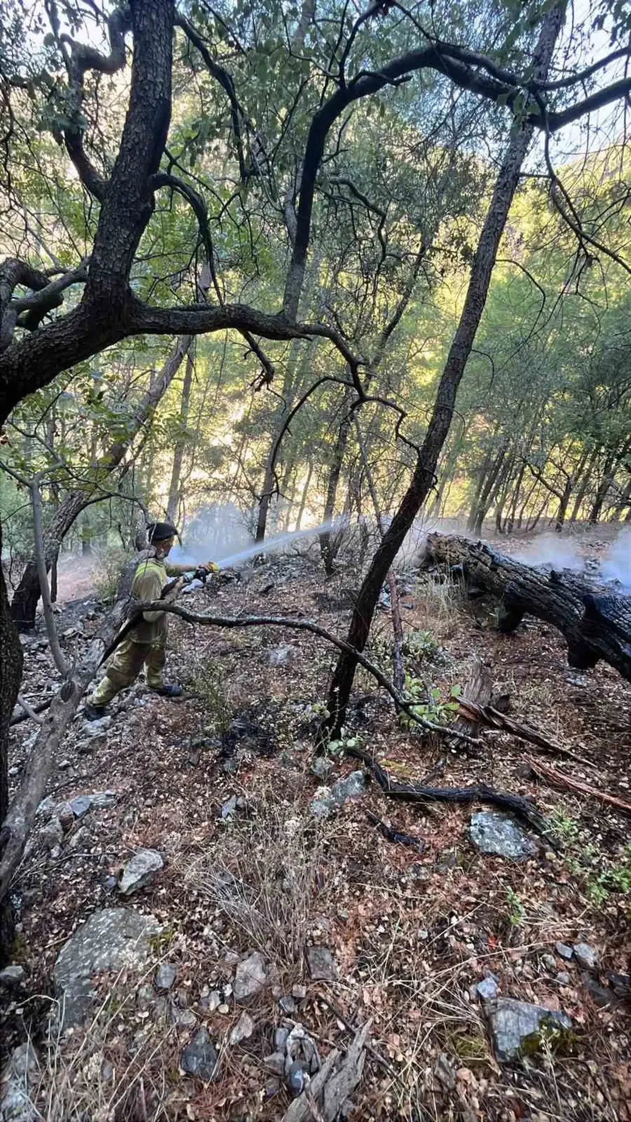 Dalaman'da orman yangını paniği: Ekipler zorlu arazide saatlerce mücadele etti