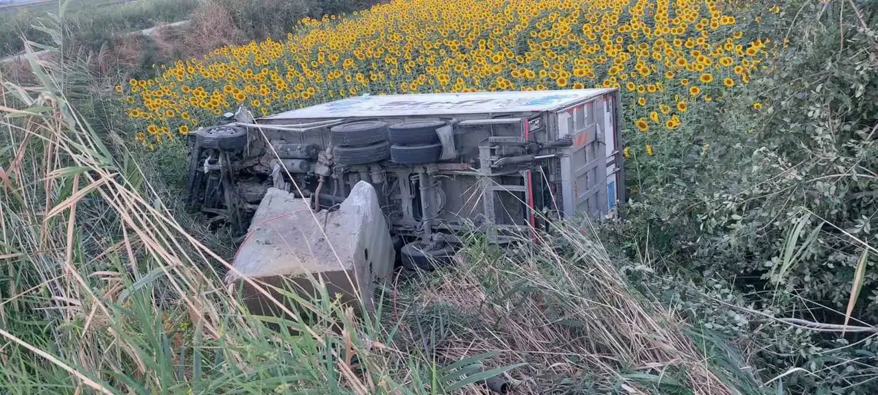 Aydın'da direksiyon başında kabus: Kamyonet tarlaya uçtu