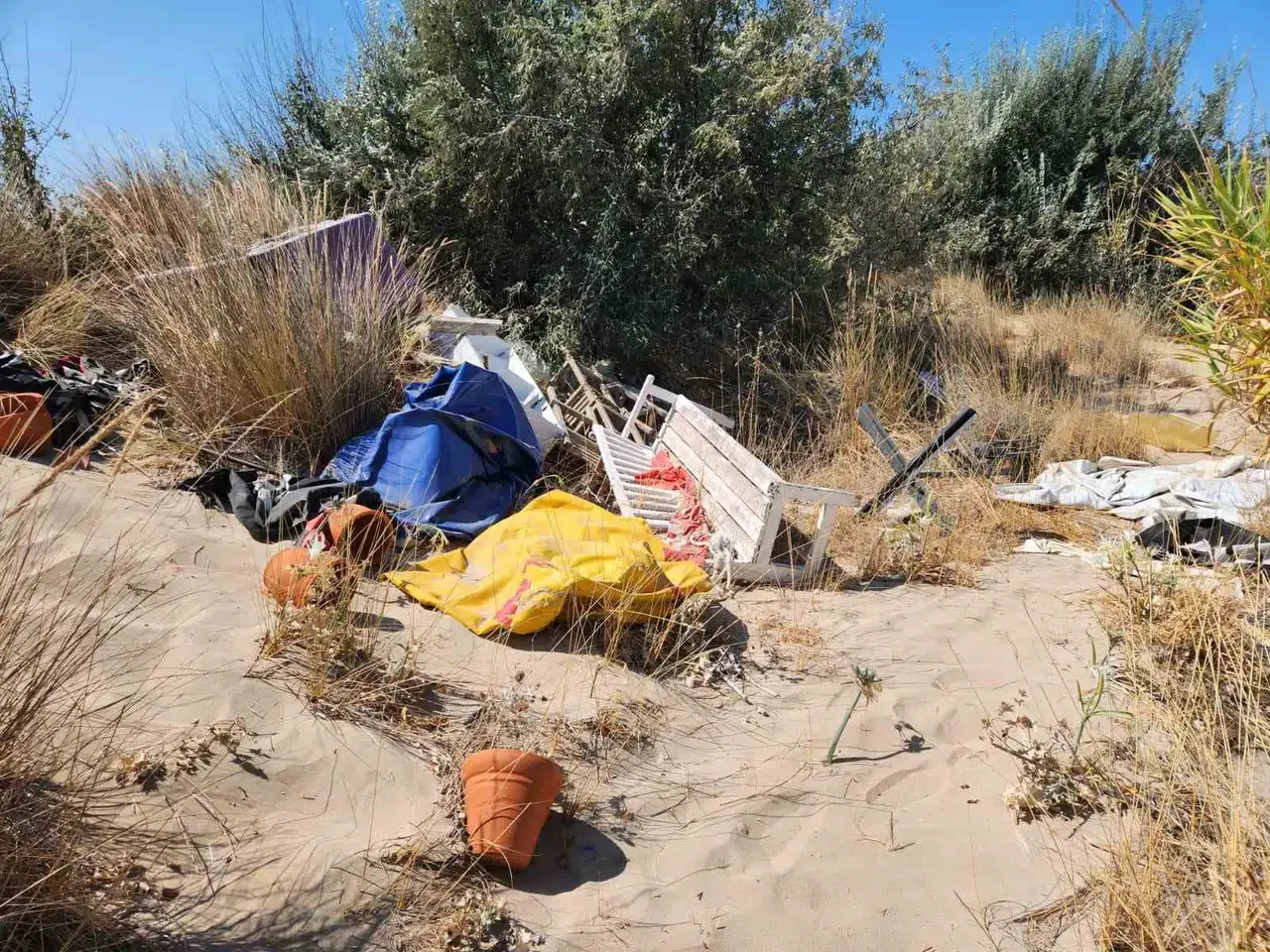 Çeşme'nin nadide çiçeklerine çöp darbesi: Doğal miras göz göre göre yok ediliyor