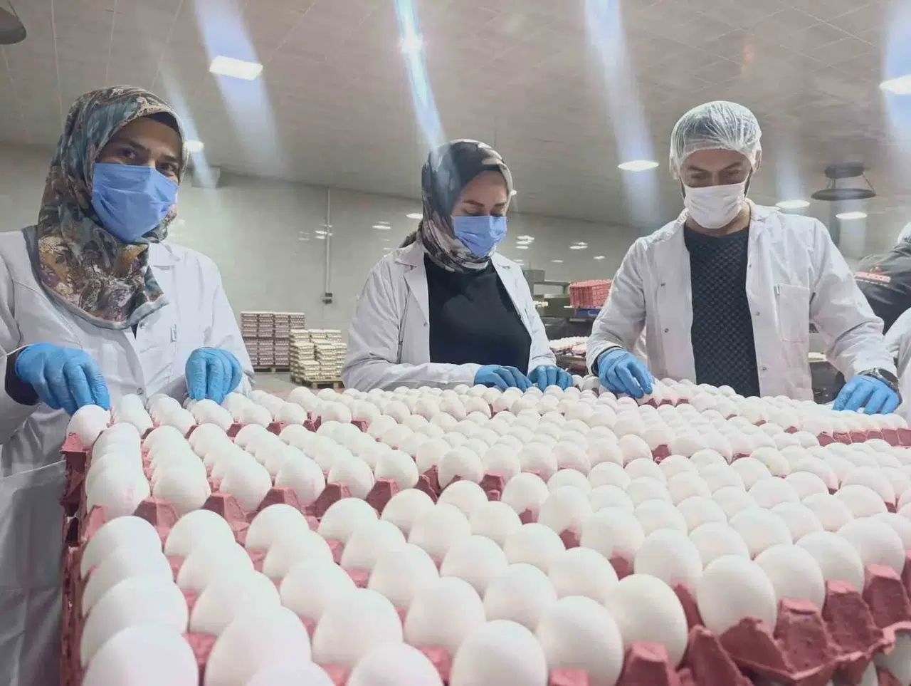 Mutfakların temel gıdası için müjdeli haber: Yumurta fiyatlarında zam beklenmiyor