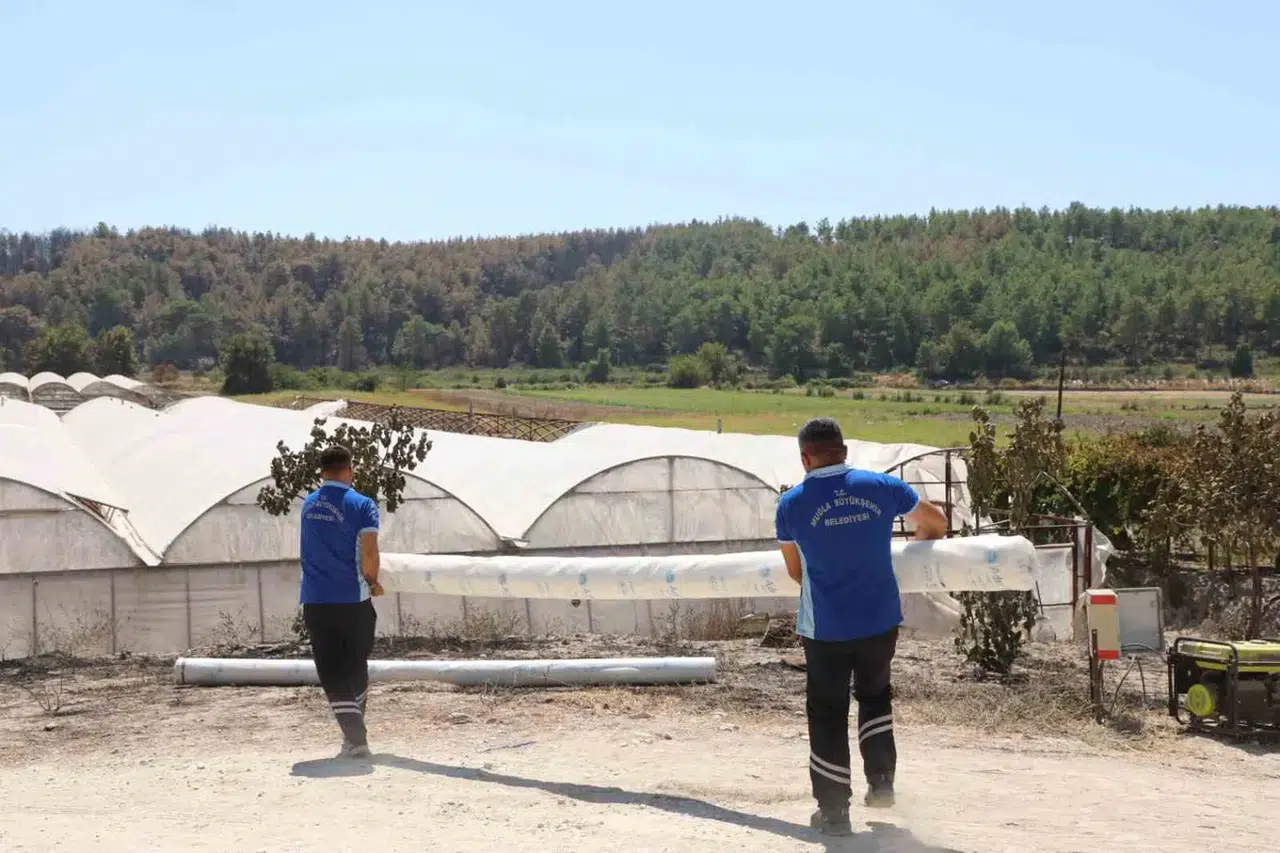 Seydikemer’de yangın felaketinin izleri hızla siliniyor: Üreticiye can suyu desteği