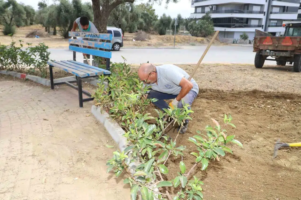 Nazilli'de kış mesaisi başladı: Yeşil alanlar yaza hazırlanıyor