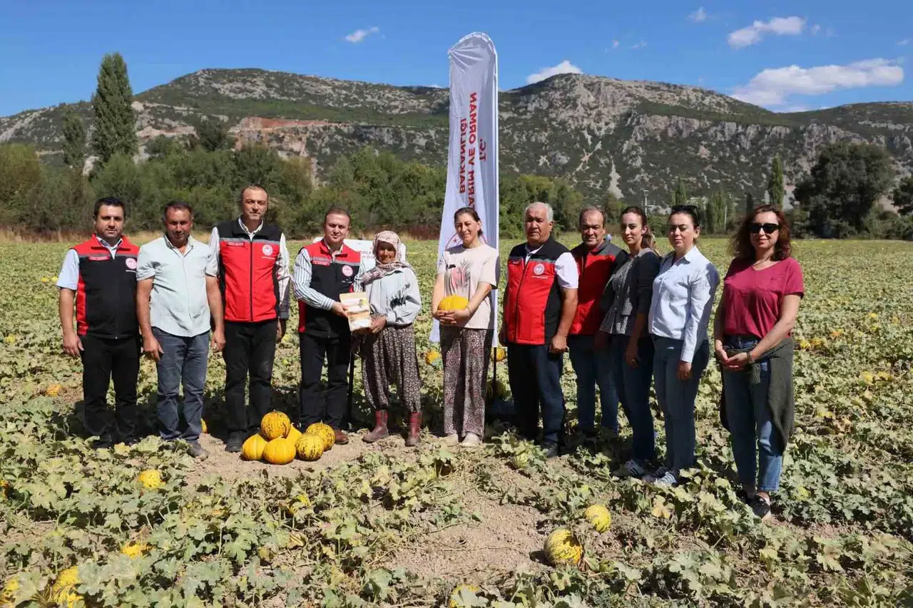 Muğla’nın bereketli topraklarında geleneksel hasat heyecanı: Ata tohumları sofralara taşınıyor