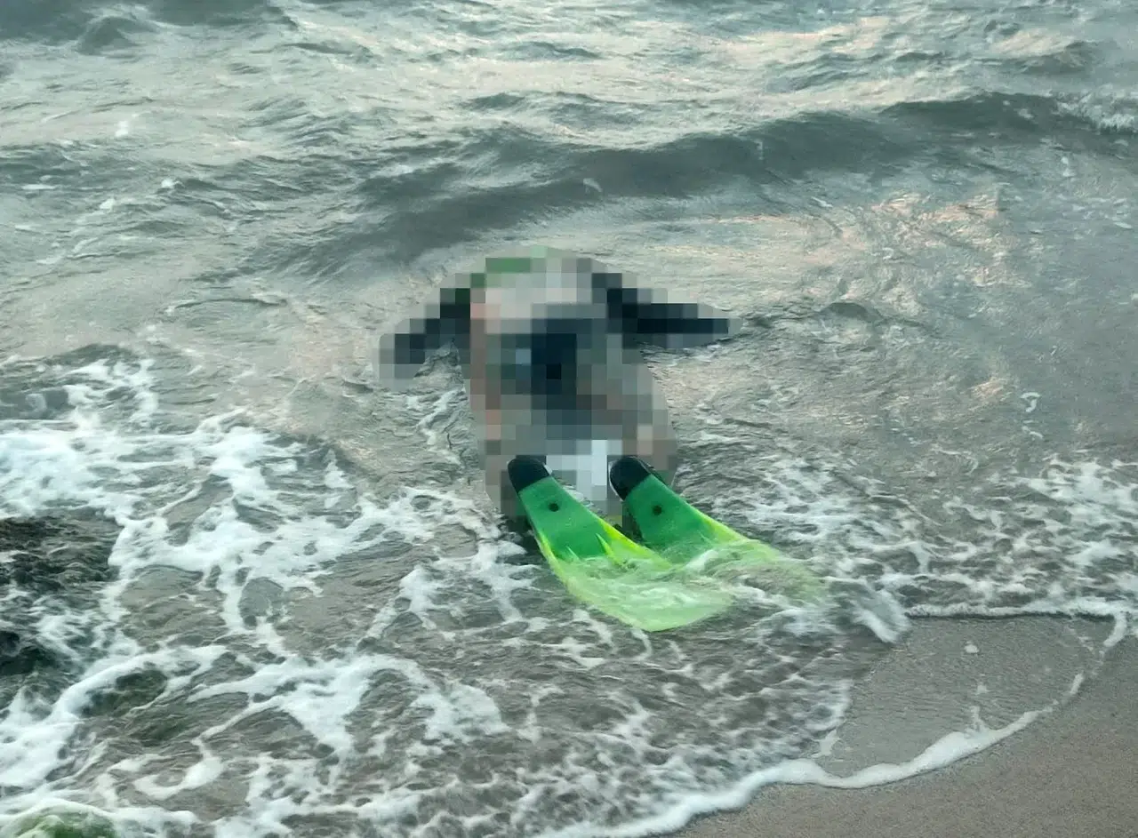 Didim sahilinde hüzünlü keşif: Dalgıç kıyafetli cansız beden bulundu