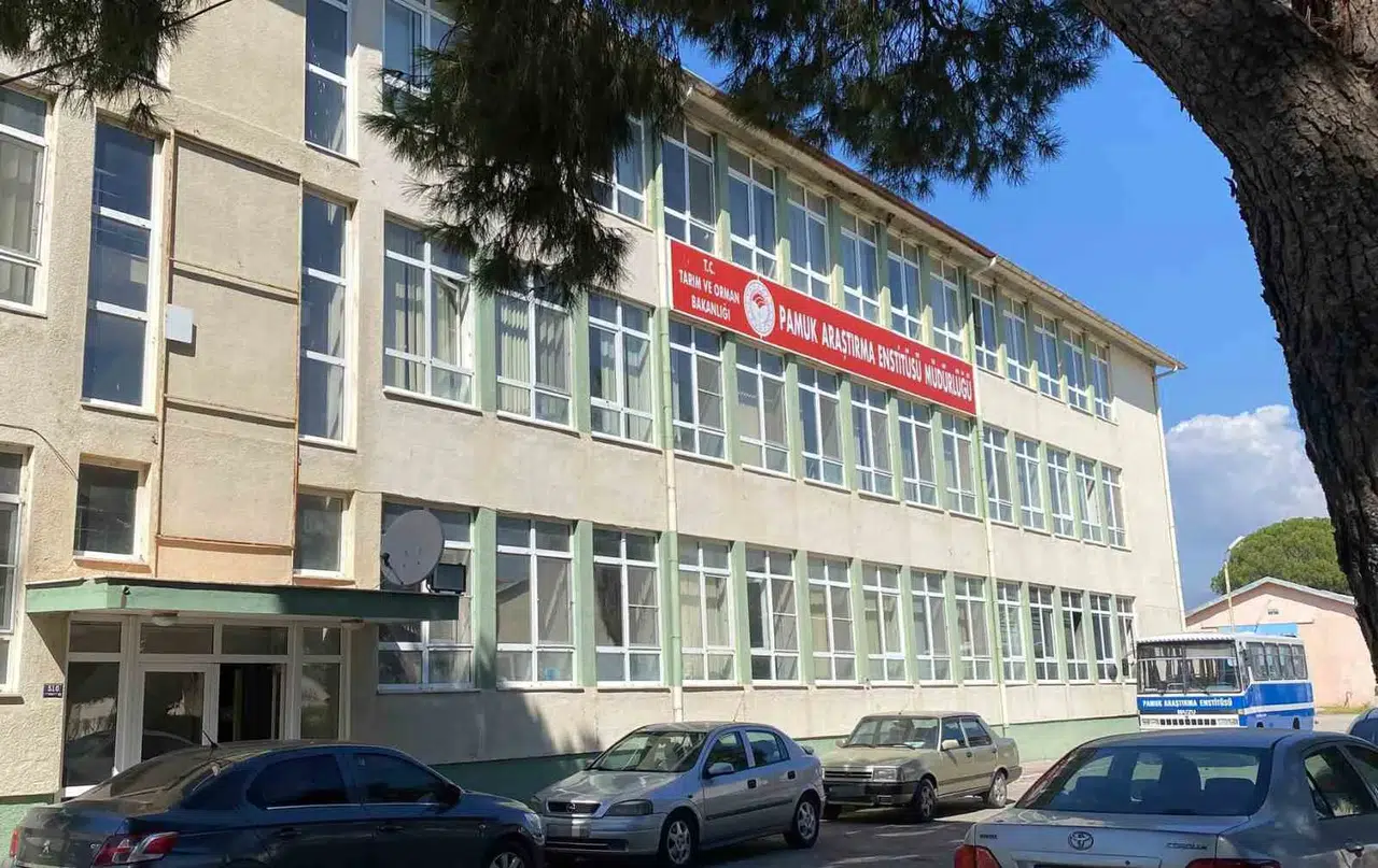 Pamuk Araştırma Enstitüsü’nde rüşvet operasyonu: Müdür dahil 4 kişi adliyeye sevk edildi
