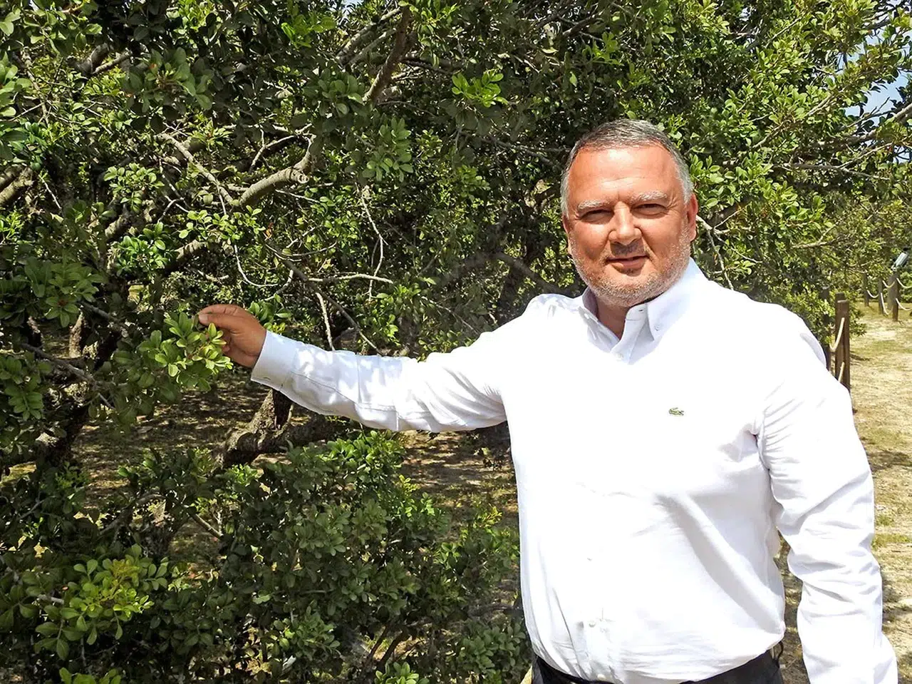 Çeşme’nin beyaz altını dünya literatürüne girdi: Bilimsel onay tescillendi