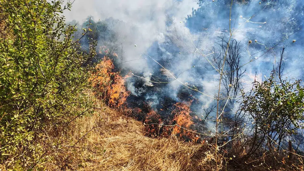 Manisa'da korkutan yangın: Ekipler alevlere geçit vermedi