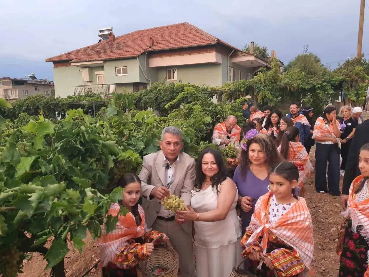 Çal'da sağanak bereketi: Bağbozumu coşkusu Edip Akbayram anısıyla taçlandı