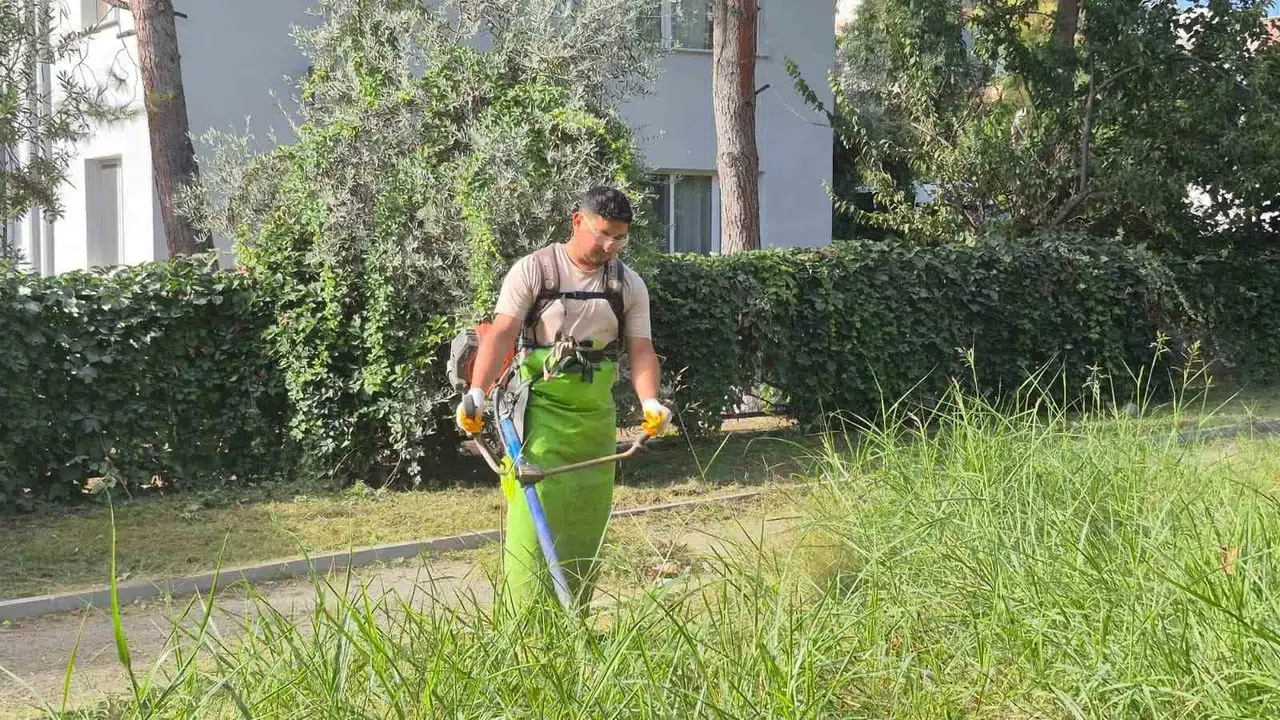 Kuşadası’nda yeşil seferberlik: Şehrin çehresi estetik dokunuşlarla yenileniyor