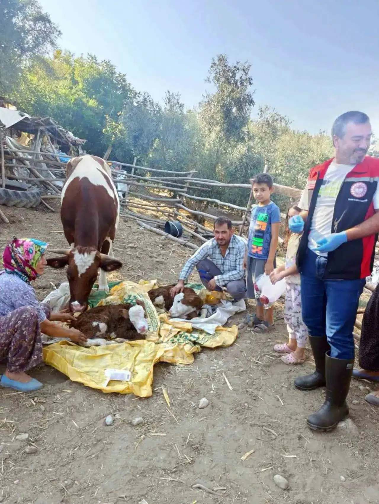 Muğla'da hayvancılıkta yeni dönem: İlk 24 saat için devreye alınan proje ile hedef yüzde 1'e inmek