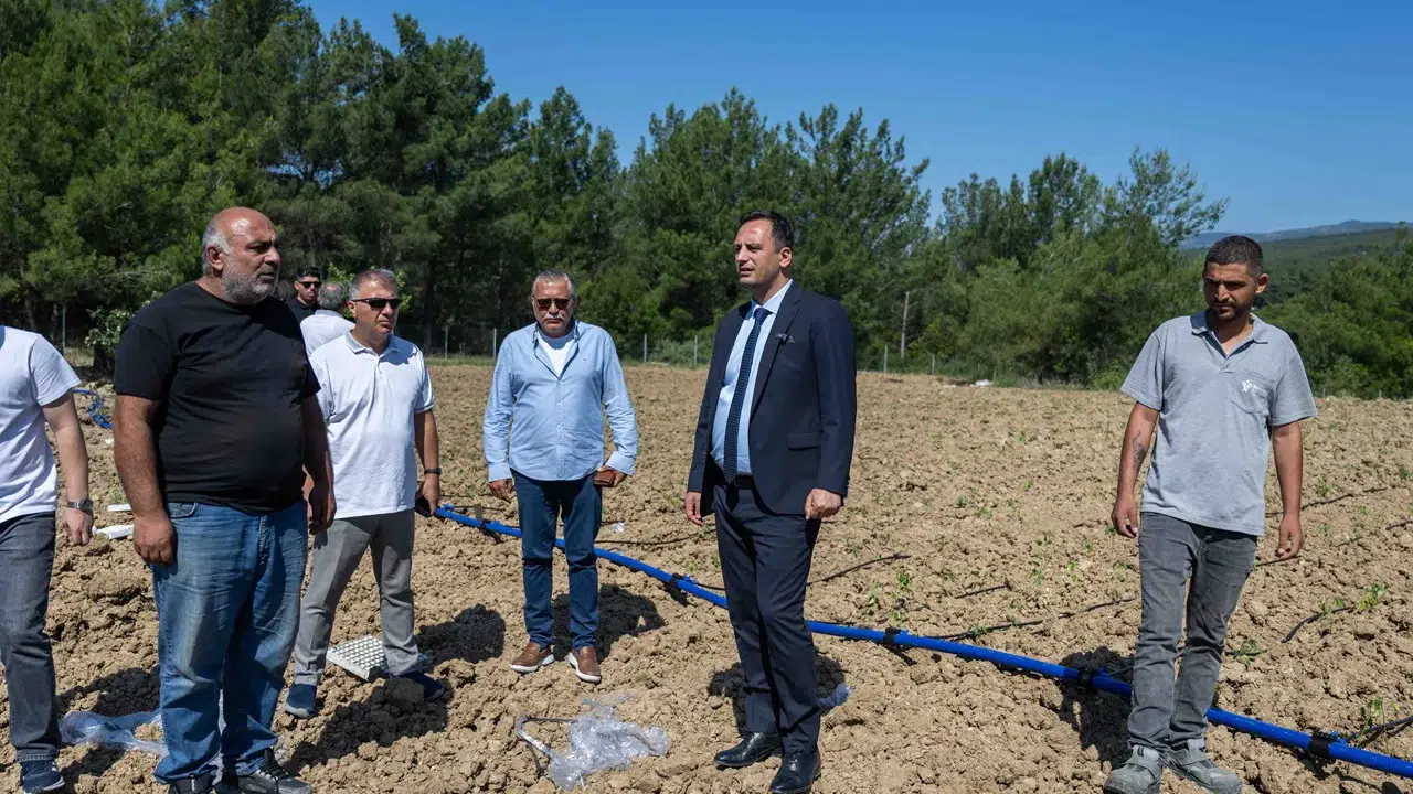 Bornova’da atıl topraklar hayat buluyor