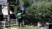 Balçova'da haşerelere karşı kapsamlı mücadele