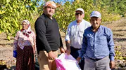 Akhisar’da orman köylüsünün yüzü gülüyor: 26 hektarlık alanda bereketli hasat