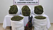 Tire’de jandarmadan zehir tacirlerine geçit yok: 54 kilo esrar ele geçirildi