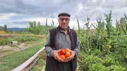 Manisa'da bir gelenek: Dededen kalan tohumlarla toprağı bereketlendiriyor