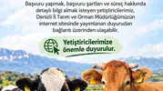 Besilik sığır ithalatında takvim işliyor: 480 bin baş için kritik başvuru süreci başladı