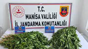 Manisa'da zehir tacirlerine jandarma darbesi: 4 ilçede eş zamanlı operasyon