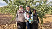 Afyonkarahisar’da tarım seferberliği: Meyve bahçeleri mercek altına alındı