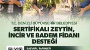 Denizli'de tarımsal kalkınma hamlesi: Üreticiye sertifikalı fidan desteği müjdesi