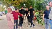 Başmakçı’da patili dostlara dijital kimlik dönemi