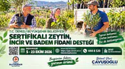 Denizli'de toprak bereketi artıyor: Çiftçiye fidan desteği müjdesi