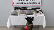 Beydağ'da zehir tacirlerine şafak operasyonu: Cephanelik gibi evler