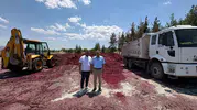 Çal'da besicinin yüzü gülüyor: Yerel yönetimden dev yem desteği