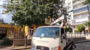 Efeler’de yeşil seferberlik: Parklar yaza hazırlanıyor