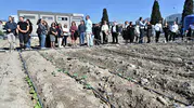 Bornova Belediyesi’nden küresel iklim zirvesine güçlü köprü