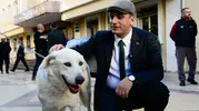 Bornova Belediyesi: Ege Üniversitesi'ndeki 83 köpek belediye yerleşkesine alındı
