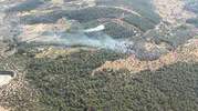 Milas'ta alevler paniğe yol açtı: Ekiplerin zamanla yarışı sonuç verdi