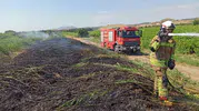 Manisa'da alevlerle zorlu mesai: Bir günde 50 noktada yangın alarmı
