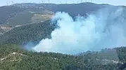 Soma ormanlarında korkutan dumanlar: Ekipler seferber oldu