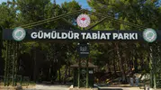 İzmir'in gözde rotasında hasret bitti: Gümüldür Tabiat Parkı kapılarını araladı