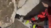 Yatağan'da gece yarısı operasyonu: Taş duvarların arasına sıkışan kedi kurtarıldı