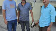 Nazilli sokaklarında kapı kapı dolaşan kuzuya teknolojik takip: Sahibi küpesinden bulundu