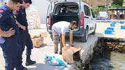 Söke’de kaçak yengeç operasyonu: Binlerce canlı doğaya geri döndü